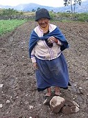 Grandma gives out stones from field